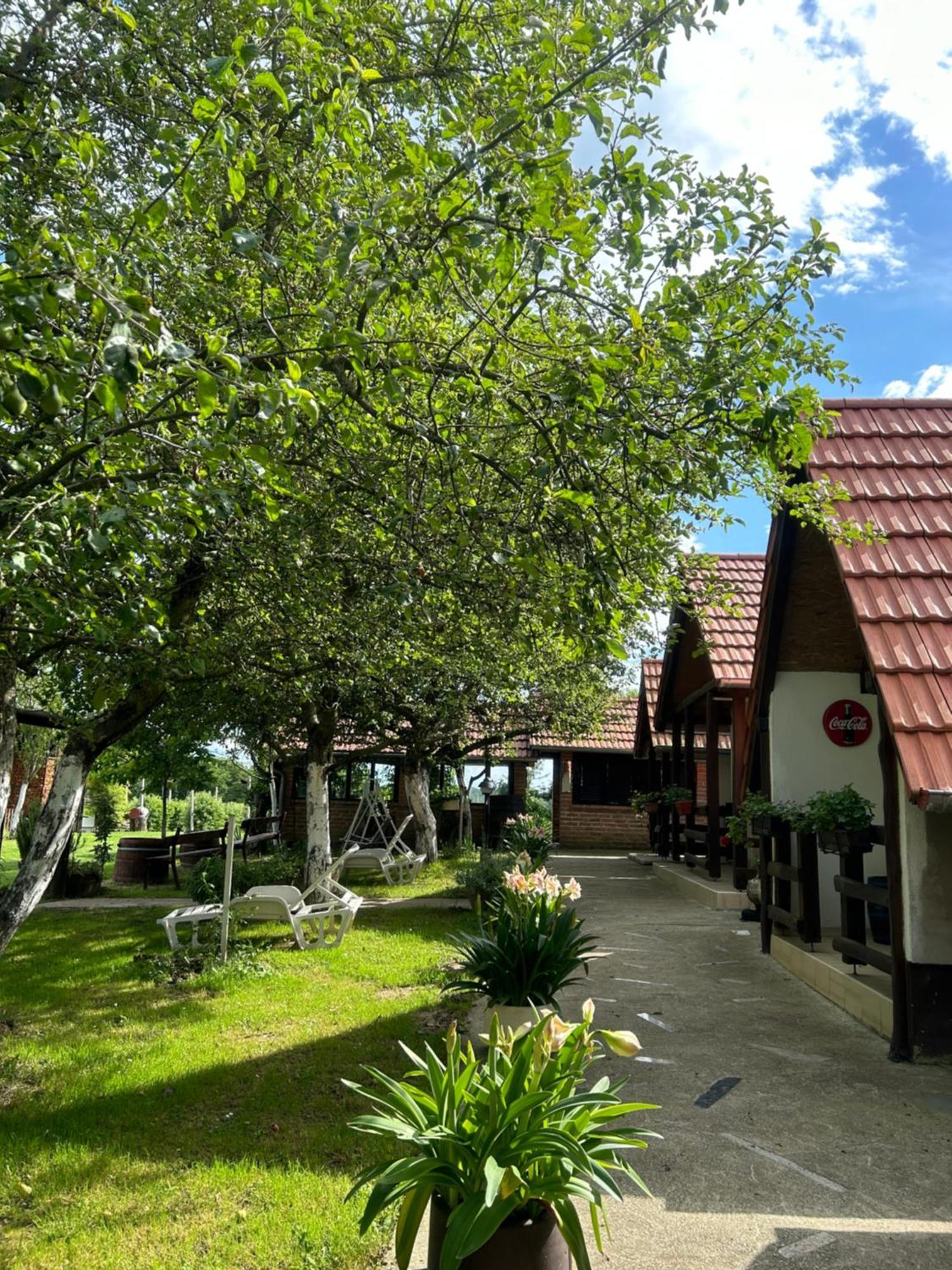 Camping Lukac Kutina Zewnętrze zdjęcie