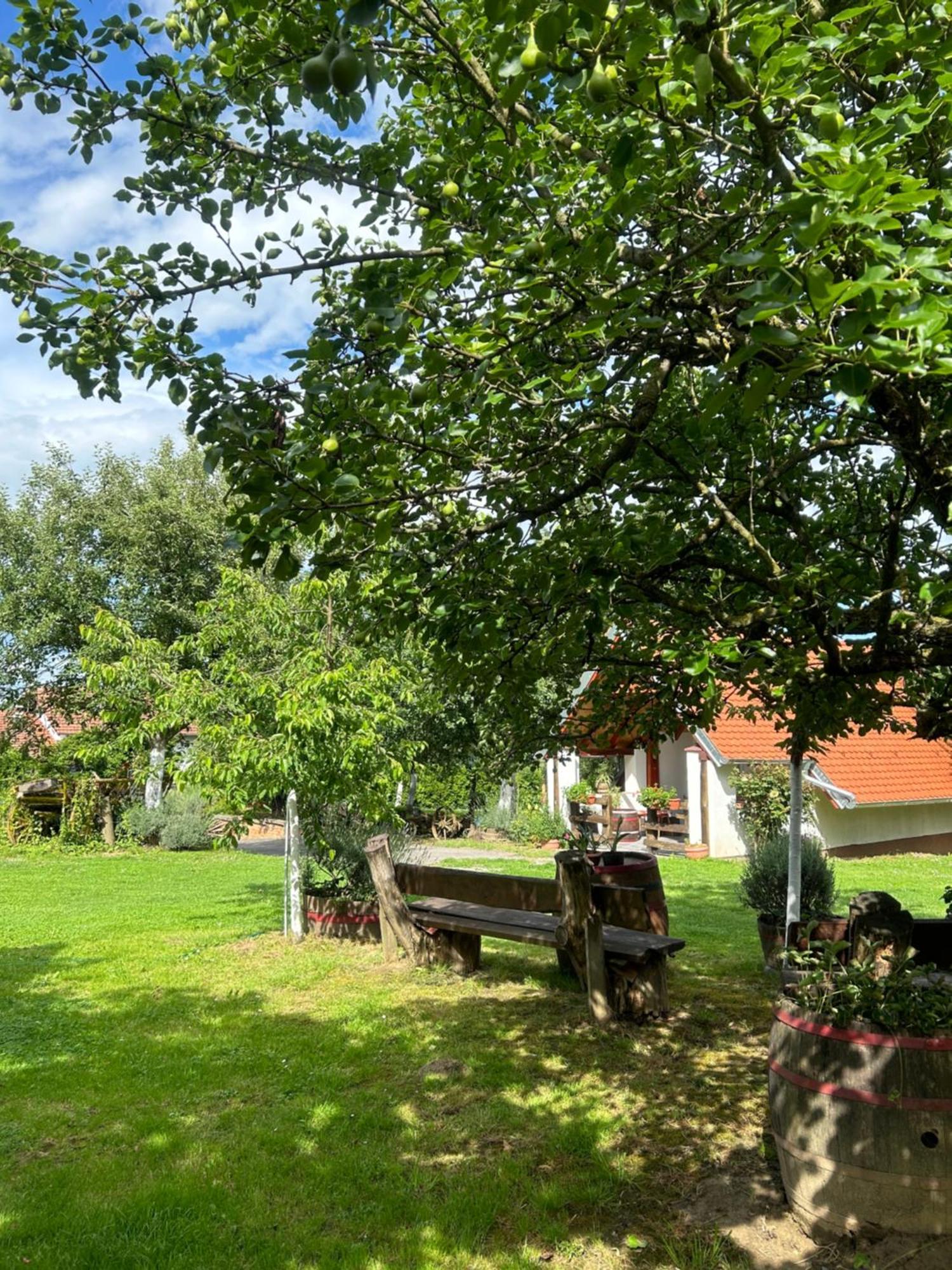 Camping Lukac Kutina Zewnętrze zdjęcie